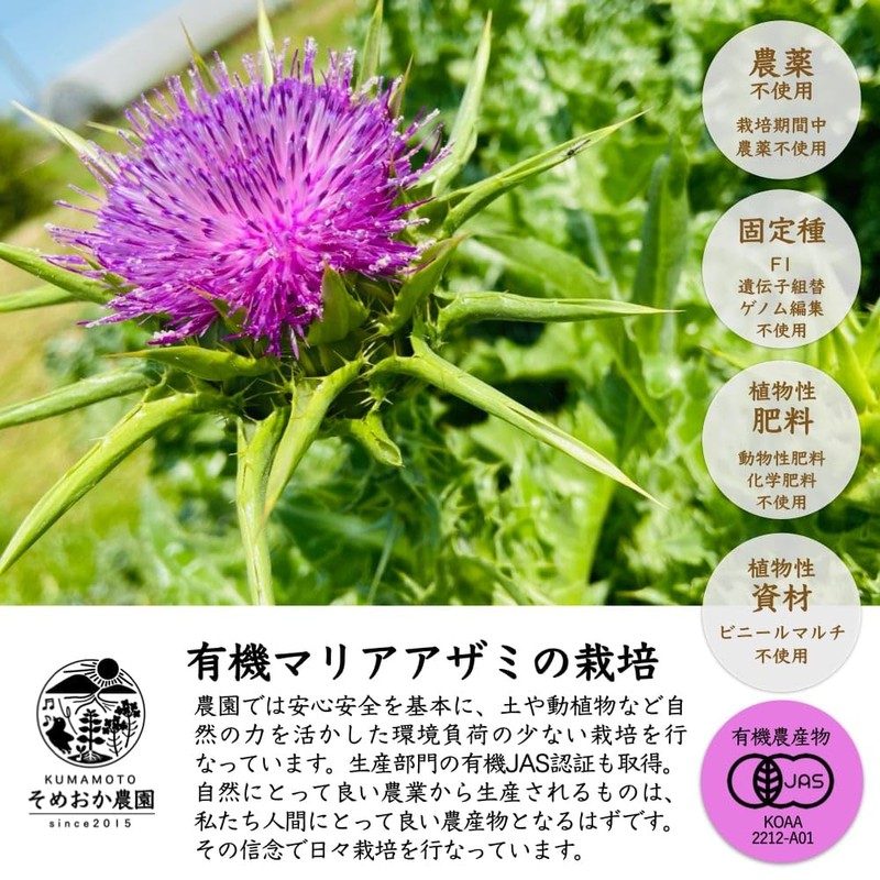 Someoka Farm Organic Maria Thistle Powder, 0.9 oz (25 g),