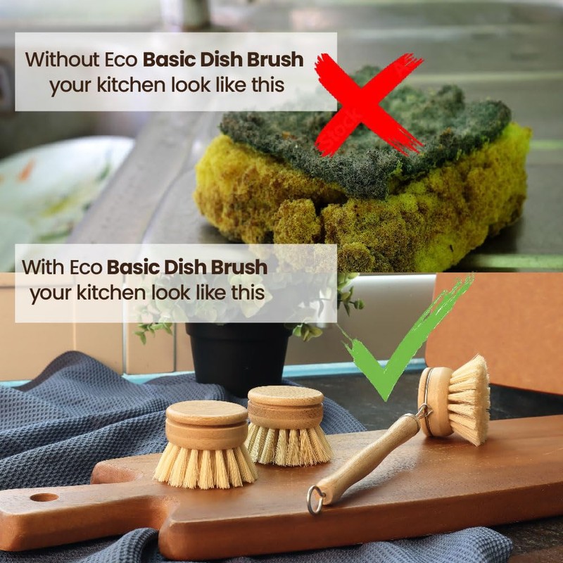 Eco Basics Plastic Free Dish Brush - 22x4x6cm, Bamboo Handle,
