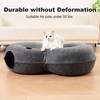 LovIntry 8-Shaped Large Cat Tunnel Bed for Indoor Cats, Infinite