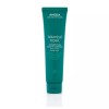 Aveda 아베다 보태니컬 리페어 스트렝스닝 리브인 트리트먼트 100ml Aveda Botanical Repair Strengthening Leave-In Treatment 100ml