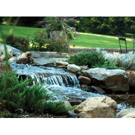 Waterscapes International BF1250 Pond Filter & Waterfall Spillway, 17-inch