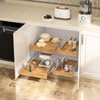 OCG Pull Out Cabinet Organizer 17" W x 21" D,