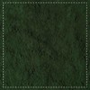 Spirulina Powder Organic 500 g | Algae Powder | Bottled