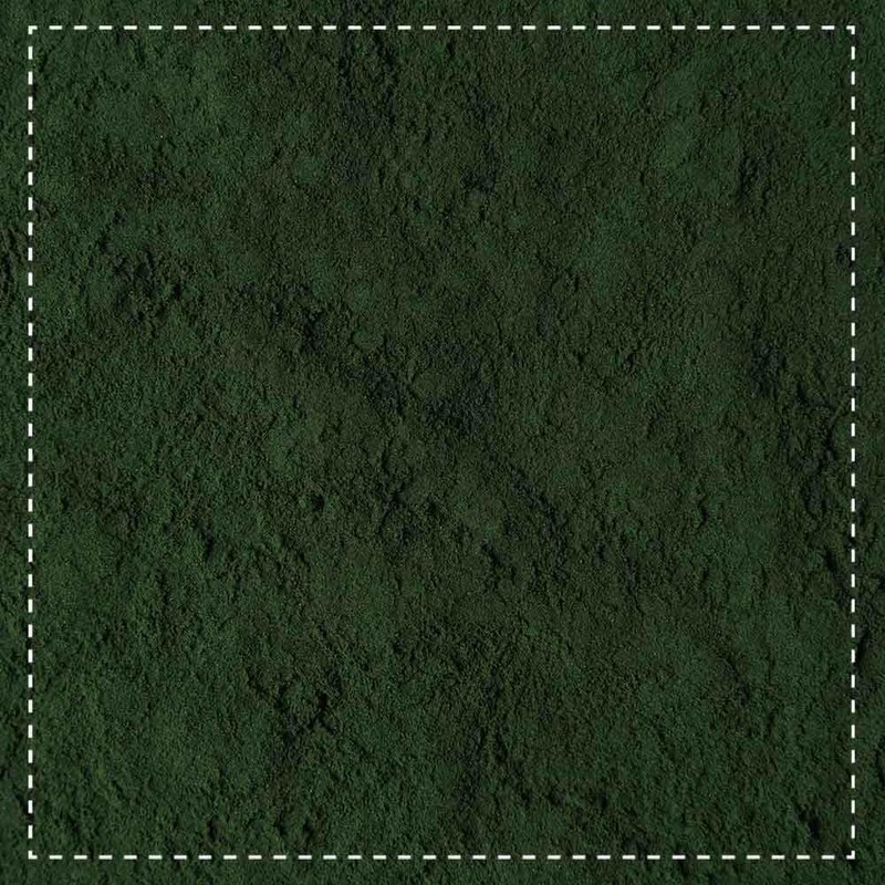 Spirulina Powder Organic 500 g | Algae Powder | Bottled
