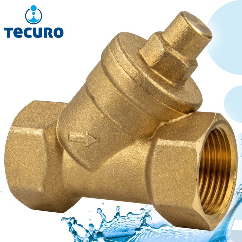 tecuro Angled Seat Check Valve Rp 1 1/4 (5/4) Inch
