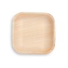 The Good Plate - 5" Square Areca Palm Leaf Plate