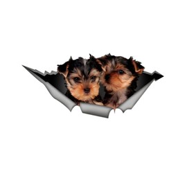 Car Sticker Yorkshire Terrier Puppy Sticker 15 cm (5.9 Inch) Yorkshire Terrier Reflective Sticker 3D Pet Dog Funny Car Sticker Yorkshire Terrier Car Sticker Funny Decor