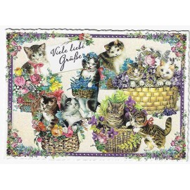 Postcard Glitter Tausendschoen Kittens Cats Flower Baskets Postcrossing