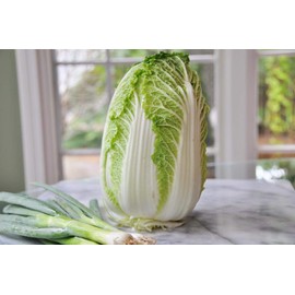 CEMEHA SEEDS - Seeds Napa Cabbage Peking Chinese Green Giant Non GMO Vegetable for Planting