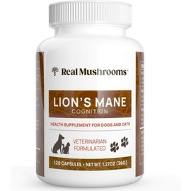 Real Mushroom Lion's Mane Pet Nutrition – Pet Health Capsules – Nutritional Supplements and Vitamins for Cats and Dogs – Supports a Healthy Lifestyle – Organic Vegan Non-GMO 12, Capsule / 리얼 머쉬룸 사자갈기버섯 반려동물 영양제 – 반려동물 건강 캡슐 – 고양이와 강아지용 영양 보충제 및 비타민 – 건강한 생활 습관 지원 – 유기농 비건 Non-GMO 12, Capsule