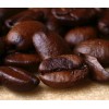 Olde World Coffee Company 2025 ITALIAN ESPRESSO - 3 bags