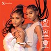 Sensationnel X-pression prestretched braiding hair - 3x braid 50 inch