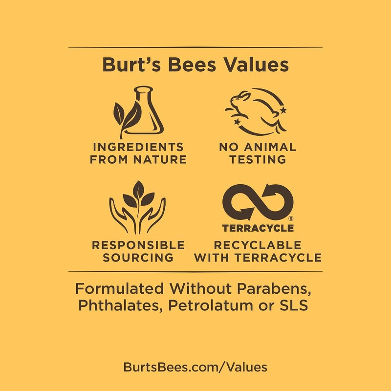Burt's Bees - Brillo Labial - Grapefruit