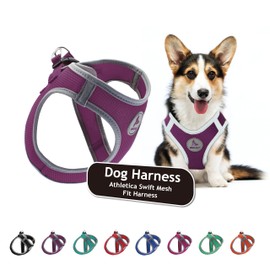 Kruz Dog Harness (Chest 20.5"-22", Weight 20–25 lbs) Athletica Adjustable Heavy Duty No Choke Puppy Vest for Small Dogs Lightweight Air Mesh, Reflective, Puppy Essentials – Amethyst, X-Large