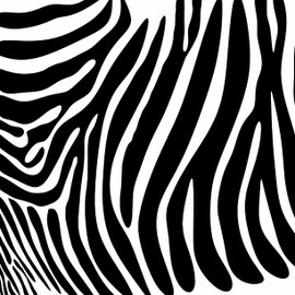 Black and White Zebra Print Stripes Animal Print Throw Pillow Case Decor Cushion Cover 18x18 Inch Square Two Sides