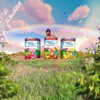 Milford Cool & Delicious Raspberry Cherry | No Calories |