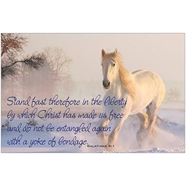 Liberty Horse Inspirational Christian Poster-E21