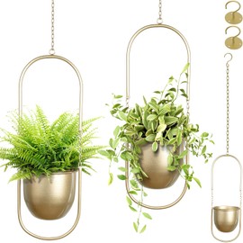 Boho Hanging Planter for Indoor Plants - Set of 2 Gold Metal Wall Planter 5.7Inch with Hooks and Chins, Plant Hanger Decor for Window and Patio - Suitable for Hanging Plants Decor
