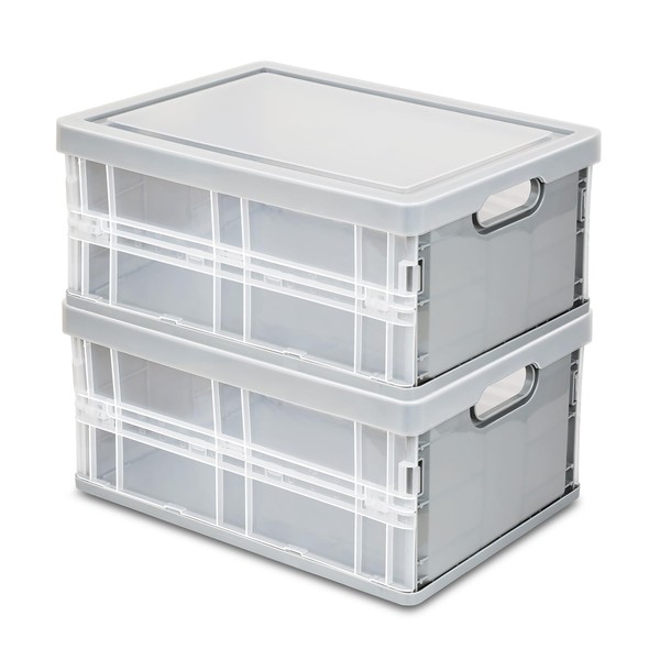 Daixers 10 Quart Storage Bins with Lids, Plastic Storage Bins,Foldable
