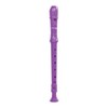 Percussion Plus PP161 Descant Recorder, Colourful