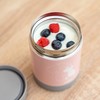 ColourDesign Edelstahl-Warmhaltebox, 300 ml, Thermobox, Wärmebehälter / Thermodose für Kinder,