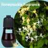 HAPPTWS Essential Oil Set - Honeysuckle, Jasmine and Magnolia Scent