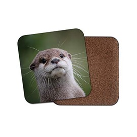 1 x Cute Otter Coaster - Wild Animal Wildlife Nature Cheeky Funny Sea #14988