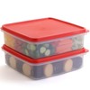 Plastic Storage Containers with Lids – 2-Pack 3L Cupcake Carrier