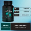 Vital Collagen Men Nutripass Colágeno 120 Cápsulas