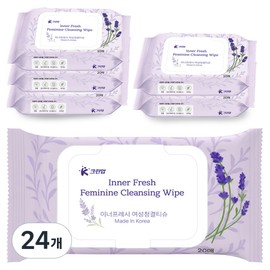 Cake Lean Up Inner Fresh Feminine Cleanliness Tissue 20p, 115g, 24 pcs / 케이크린업 이너프레시 여성청결티슈 20p, 115g, 24개