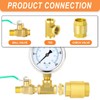 GASHER 1PCS Brass Check Valve 1-1/2" Female Thread, Backflow Prevention,
