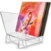 Honygebia Acrylic Vinyl Record Holder, Storing Collection of 40 Premium