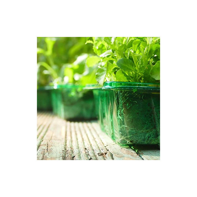 Gro-Sure 70200212 Visiroot 9 Cell 8pk Propagation kit, Green, 11.0