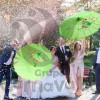 Grupo Carnavallia Sombrilla China Verde Madera Tela Bambú Boda Recuerdo
