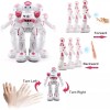 Unbranded Smart RC Robot with Programable Dancing Walking Remote Control
