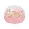 Heart Shaped Jewelry Box Wedding Preserved Flower Necklace Ring Storage