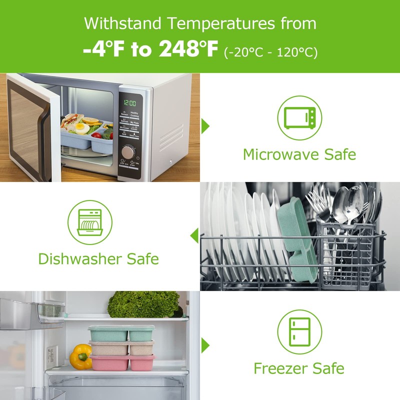 4 Pack Bento Lunch Box - BPA-Free Reusable Bento Box