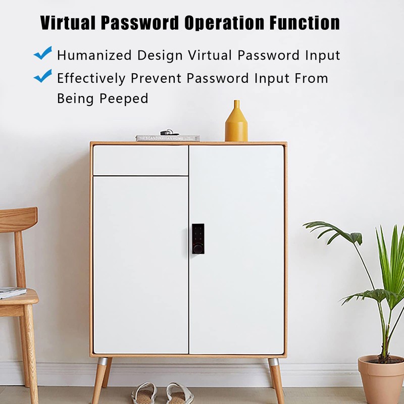 Flylin Electronic Cabinet Lock Kit, Keypad Door Lock with Handle