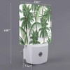 Chrobak LED Night Light,Green Tropical Leaves Palm Trees LED Night
