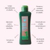 Shampoo Cuero Cabelludo Sensible Salerm Cosmetc Anti Caspa