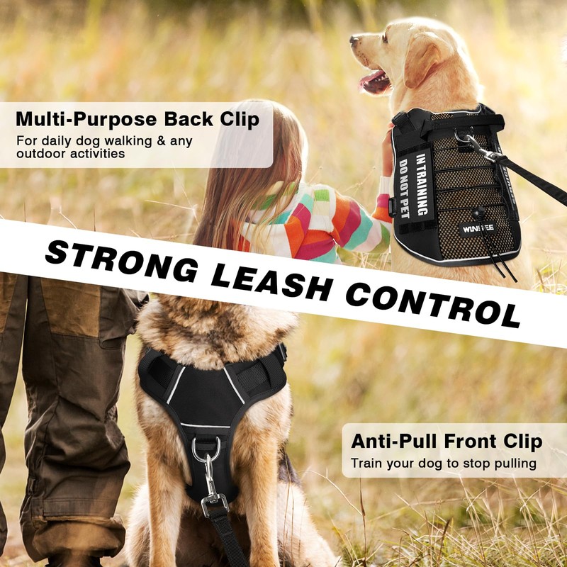 WINSEE Service Dog in Training Mesh Harness with 10 Pet