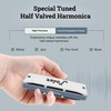 Diatonic harmonica HARMO POLAR key of F Valved - Harmonica