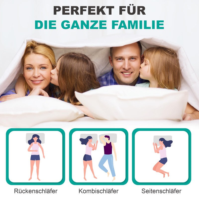 Bach's Betten Welt Down Pillow 5 Star Hotel Cushion 40