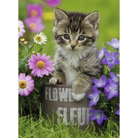 Ravensburger nbsp;10847 – Kitten Amongst Flowers 100-Piece Puzzle