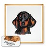 Trimits Large Counted Cross Stitch Kit (Frame Not Included), Dachshund