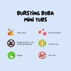 Bossen Bursting Boba Minis-3 packs (Passion Fruit/Blueberry/Kiwi)
