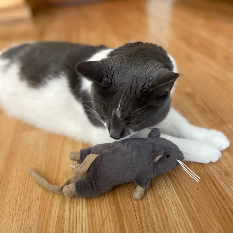 SPOT Big Mouse Bertha Cat Toy with Catnip – Lifelike