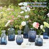 PURVONNIE Small Vases for Flowers Set of 10, Small Vases