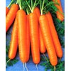RAISE ME UP: Seeds Carrot Tip Top Non GMO Heirloom