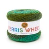 Lion Brand Yarn Company 217-603 Ferris Wheel Yarn, Evergreen, One
